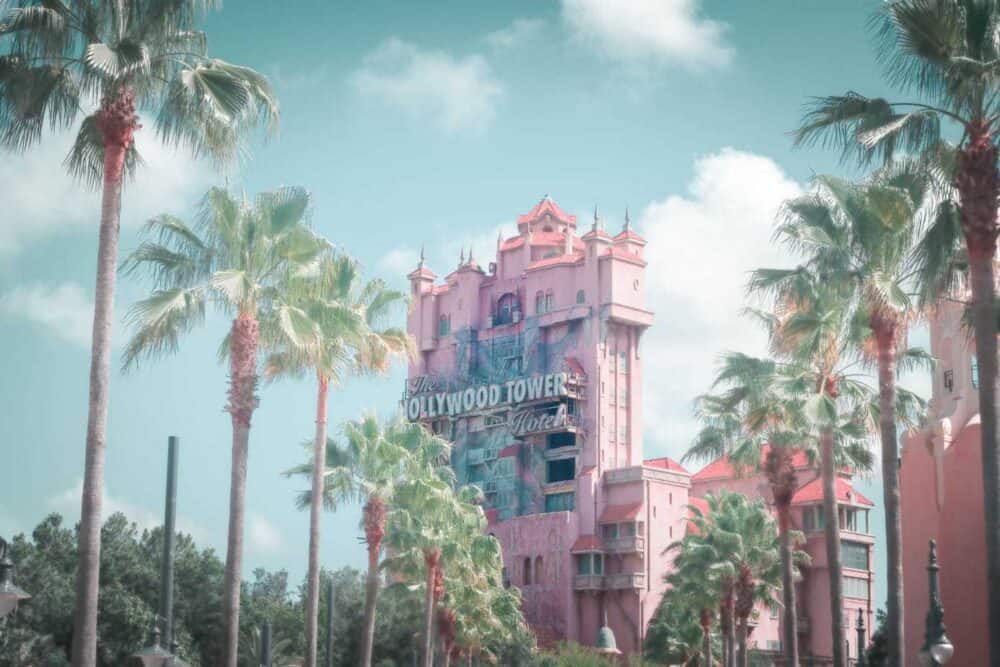 Disney-and-palm-trees-florida-tourism-photography