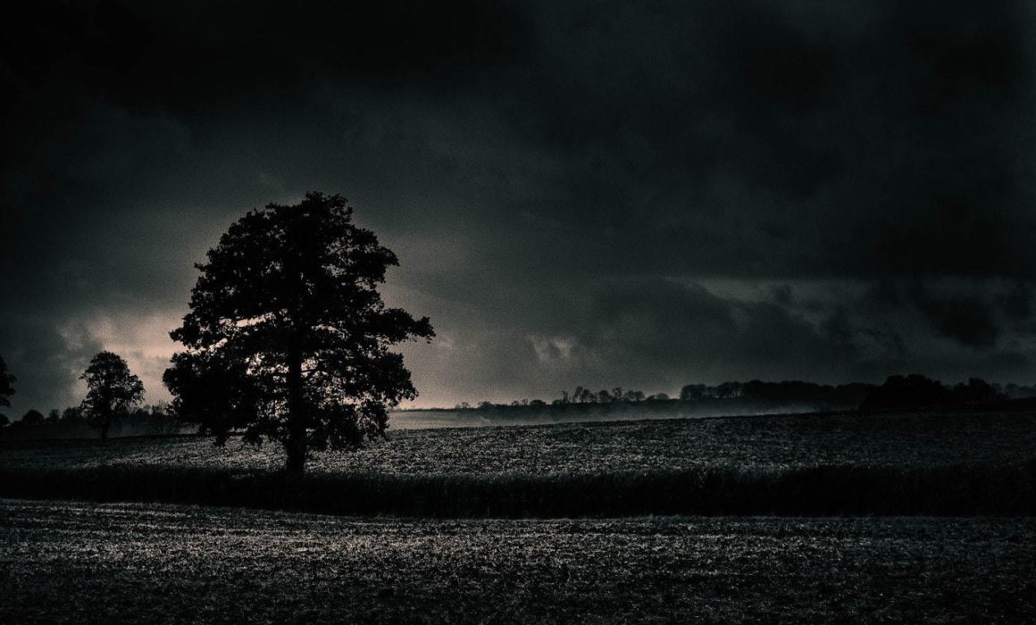 Location-in-photography-tree-in-plighted-field-somerset