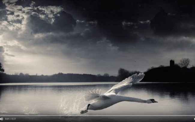 Composite-retouching-video-graphic-kings-swan