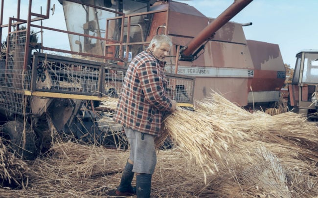 Robert Pike Loading The Combed Wheat